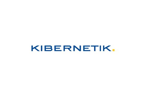Kibernetik